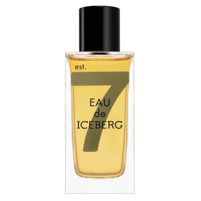 Eau De Iceberg Amber Pour Homme Toaletná Voda V Spreji 100 Ml