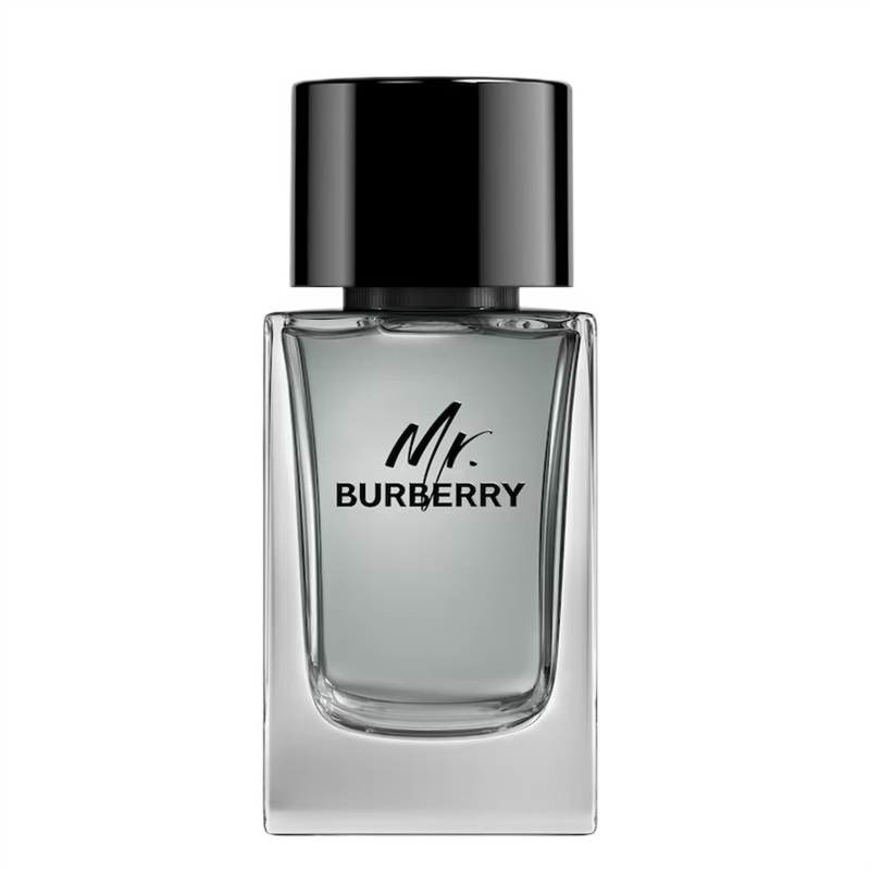 Mr. Burberry For Men 2