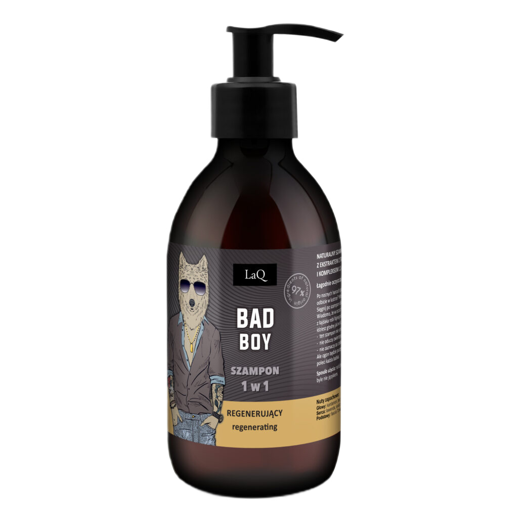 Bad Boy 2