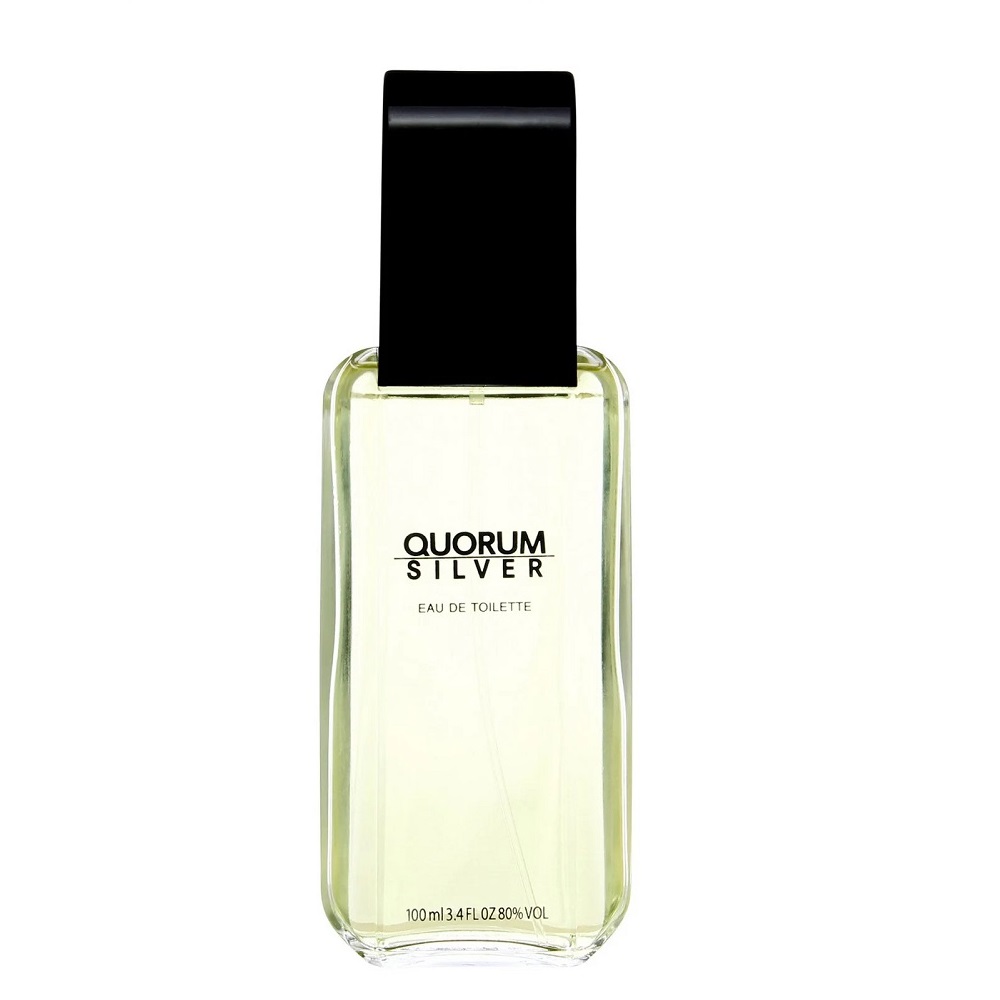 Quorum Silver Toaletná Voda V Spreji 100ml 100 g