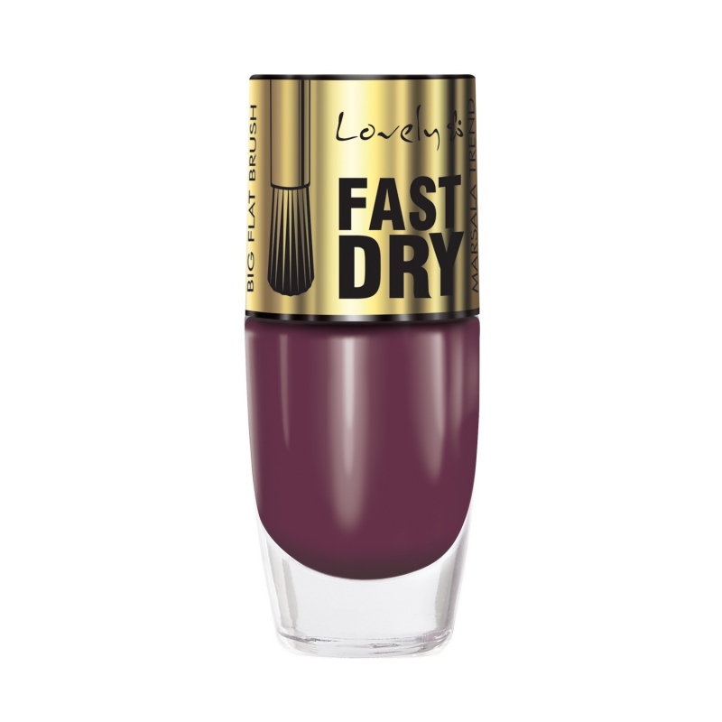 Fast Dry Lak Na Nechty 5